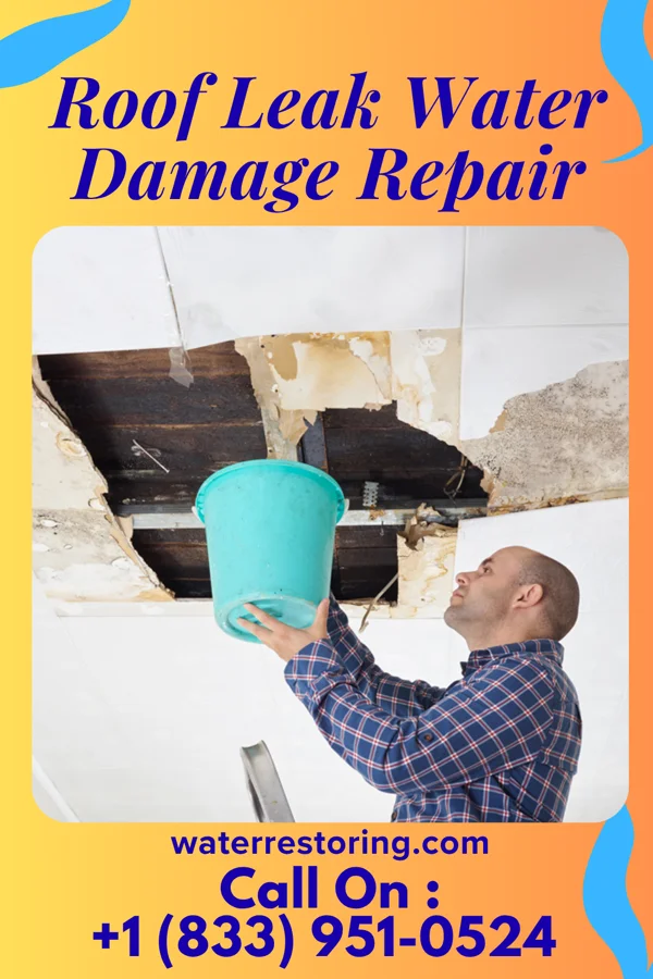 Roof Leak Water Damage Repair in Rolling Meadows, IL