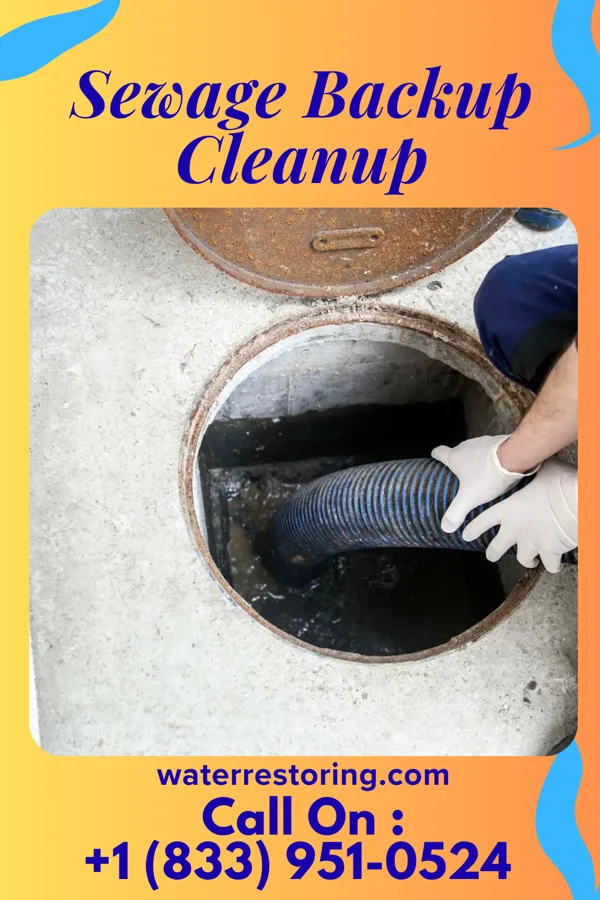 Sewage Backup Cleanup in Rolling Meadows, IL